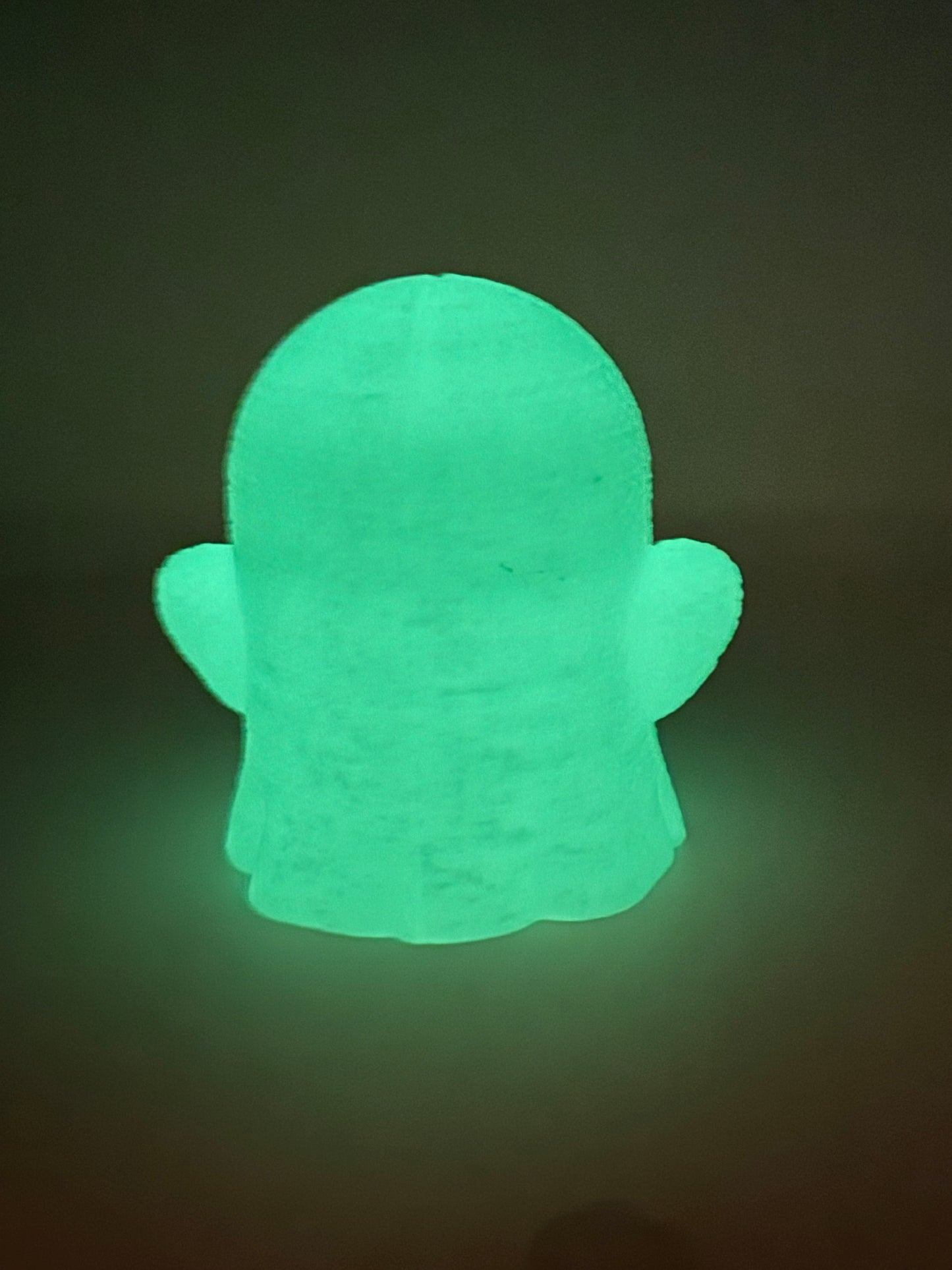 Glow-in-the-Dark Ghost Buddy